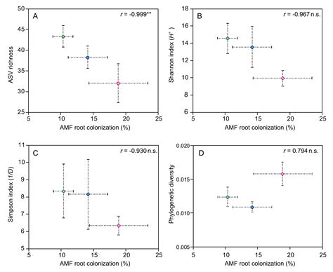 Impact of Phosphorus Fertilization on Tomato Growth and Arbuscular ...