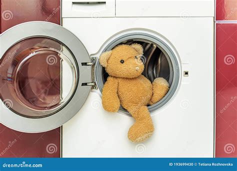 Image result for Bear Washing Machine Prank