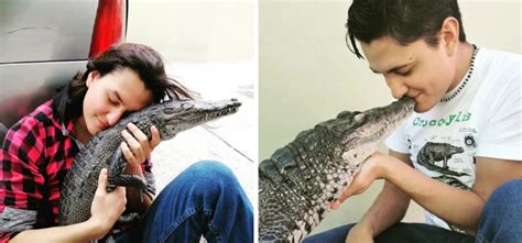Man's Pet Crocodile Acts Like Dog