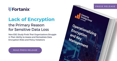 Image result for File Encryption Is Faded Out