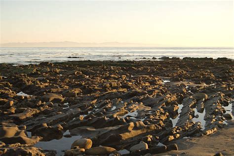 230+ Santa Barbara Tide Pools Stock Photos, Pictures & Royalty-Free ...