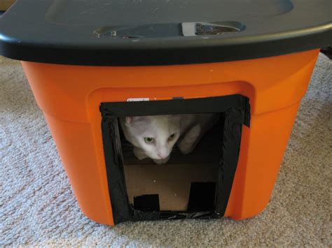 Cool How To Keep Stray Cats Off Outdoor Furniture 2023 - Interior Paint ...
