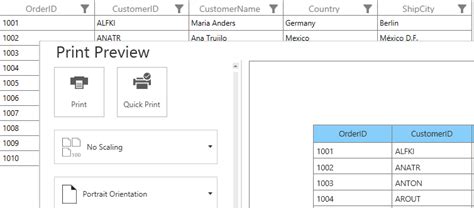 Image result for Printing WPF