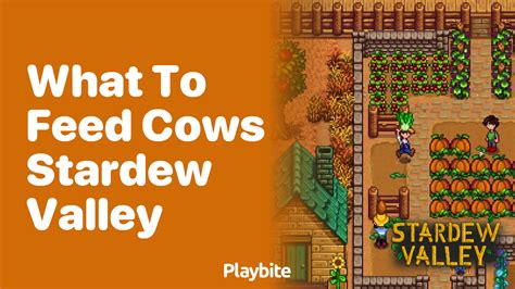 Where to Get Herring in Stardew Valley - Playbite