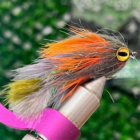 GameChanger Fly Pattern 的图像结果