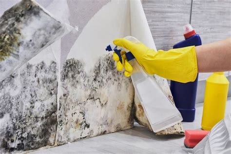 Image result for How to Clean Washing Machine Drawer Mould