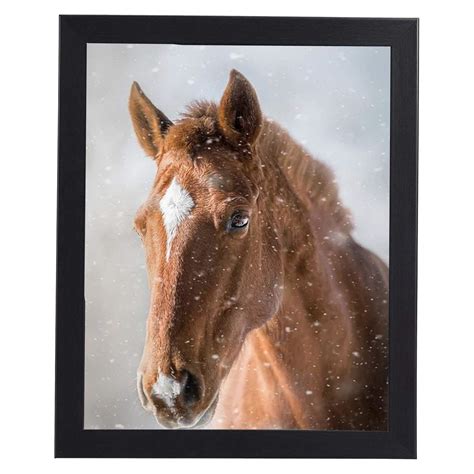 Mat Handmade Products for Horse of Synthetic Wall Wood Photo Frames (12 ...