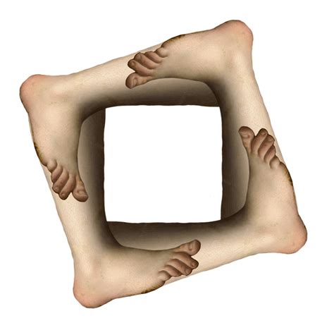 Image result for Python Foot