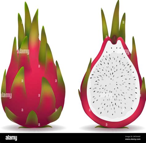 Realistic pitaya fruit Stock Vector Image & Art - Alamy