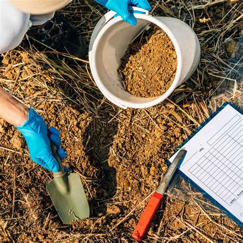 Image result for How to Take Soil Sample for Testing