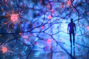 Memory 的图像结果