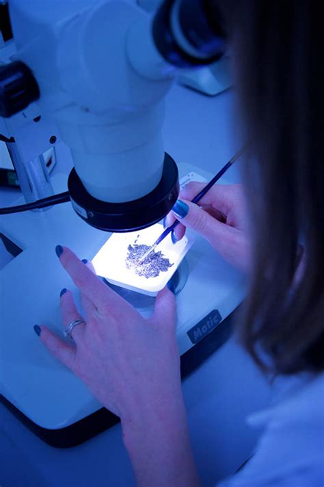 Biotechnology Facility 的图像结果