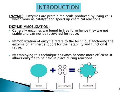 Enzyme immobilization sc | PPTX