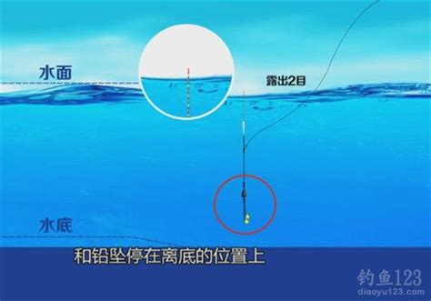 黑坑钓青鱼调漂方法 黑坑钓青鱼如何调漂_伊秀经验