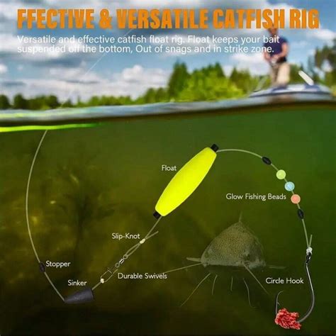 2 Peças Conjunto de Apetrechos de Pesca de Bagre, incluindo Acessórios ...