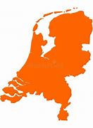 Image result for Solid Orange Holland Lop