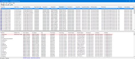 Image result for Blue Screen Viewer NirSoft How Work