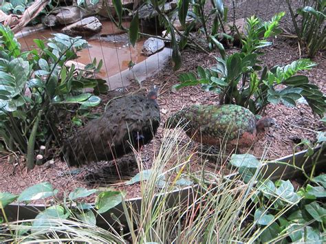 Image result for Spring Break 2016 Competition