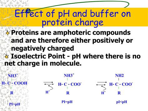 Image result for Class 8 Computer Science Notes