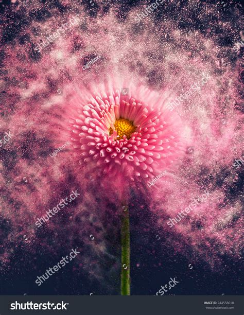 Exploding Spring 的图像结果