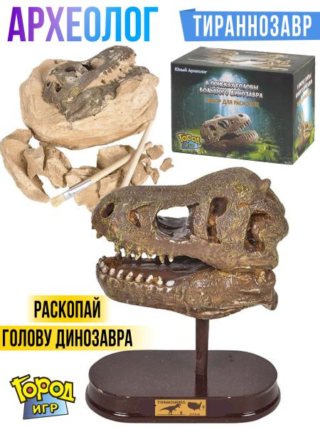 Археолог раскопки динозавр раскопай голову большого динозавра ...
