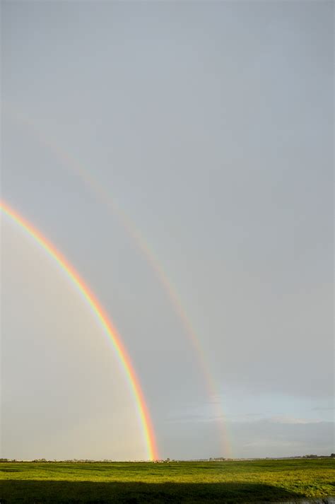 Image result for Rainbow Inflatable Pool