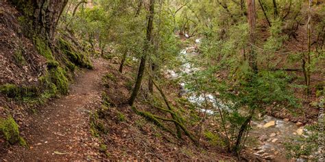 Uvas Canyon County Park - Landscape & Travel - Leica Forum