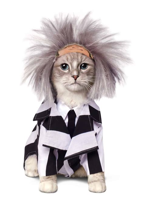 Cat Costumes - Pet Costume Center