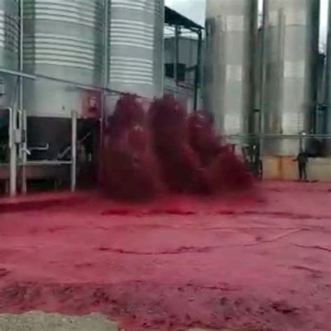 50,000 Liters Of Bloody Red Wine Spilled Creating A Horror Scene ...