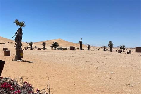 2026 Half Day Walvis Bay Tour Lagoon Dune 7 and Pink Lake (with Reviews)