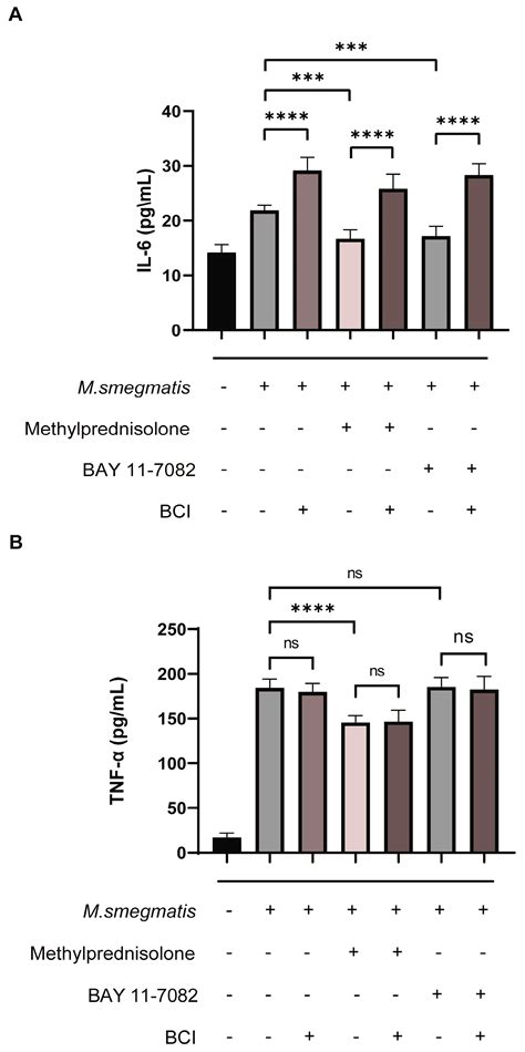 Methylprednisolone Promotes Mycobacterium smegmatis Survival in ...