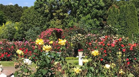 HOTEL R9 THE YARD NODA (Chiba Prefecture) - Lodging Reviews, Photos ...