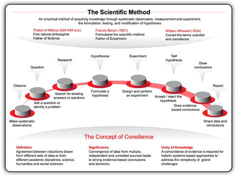 Drawing on the Past to Shape the Future of Synthetic Yeast Research