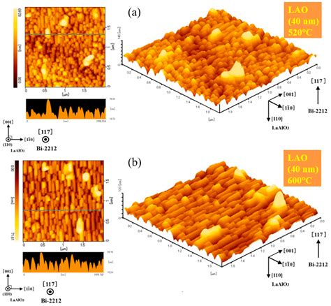 Epitaxial Non c-Axis Twin-Free Bi2Sr2CaCu2O8+δ Thin Films for Future ...