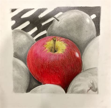 Color Pencil Graphite Project
