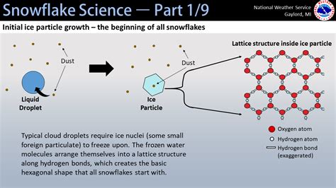 Snowflake Science