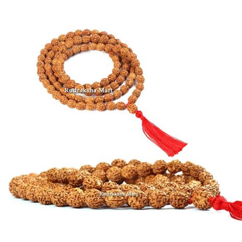Rudraksha Mala: Rudraksha Malas Shop Online in Mumbai | Rudraksha Mala ...
