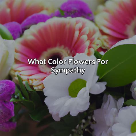 What Color Is Mistletoe - colorscombo.com