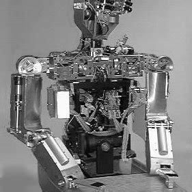 Cog Project 的图像结果