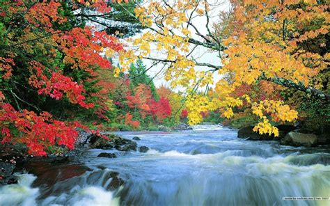 View source image | Free fall wallpaper, Fall wallpaper, Scenery wallpaper