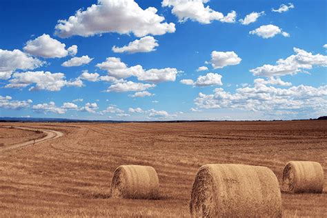 Kinnard Funeral & Cremation Services | Algoma WI funeral home and cremation