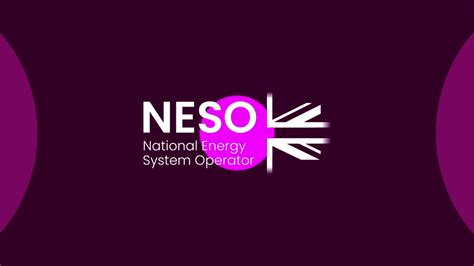 Image result for Neso Computer Networks