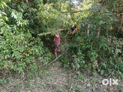 Land sale for flat and commercial purpose in Dibrugarh - Lands & Plots ...