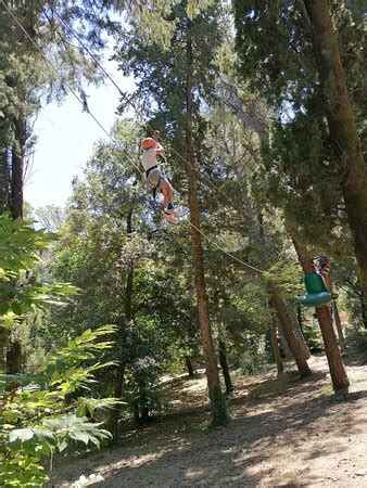 Parcallario Adventure Park into the Monti Iblei (Buccheri) - 2020 What ...