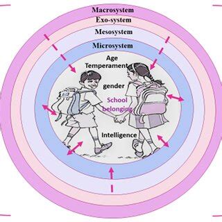 Image result for Ecological Development Model