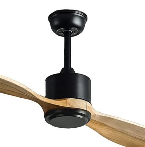 Kinglet Remote Operated Forward And Reverse 2 Blades Ceiling Fan 1 PC ...