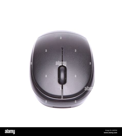 Computer Mouse Front View 的图像结果