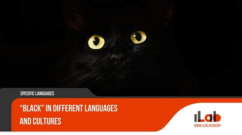 “Black” in Different Languages and Cultures