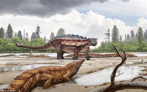 美国犹他州发现的古老恐龙Akainacephalus johnsoni被盔甲覆盖 - 科研速递 - 化石网