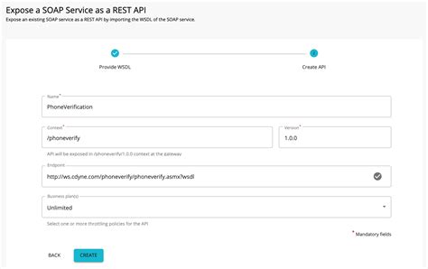 Image result for Soap API Unit Solution